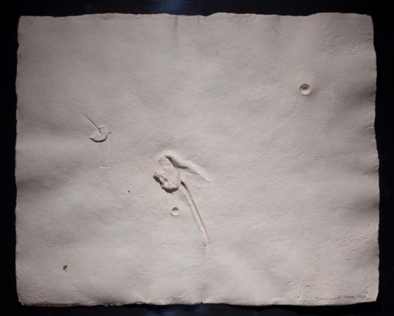 Somnath Hore WOUND SERIES-4 ND Cast handmade paper 19 x 25 in.