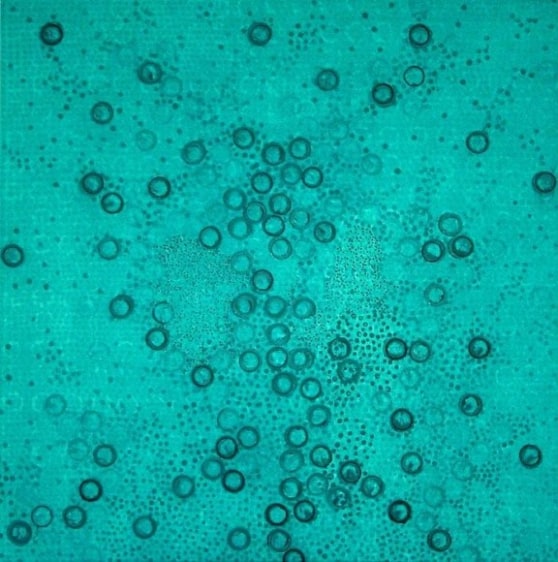 Arvind Bais UNTITLED 1 2007 Acrylic on canvas 33 x 33 in.  SOLD