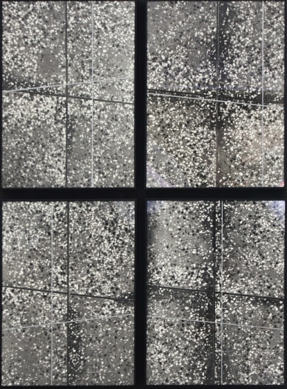 Aditya Pande All of the above 2014 Photographs 58 x 44 in.