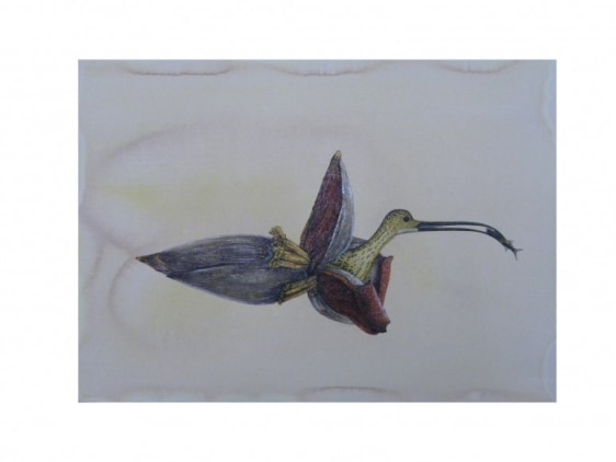 Avishek Sen There was no Escape 2016 Water based medium on paper 11.5 x 16 in.