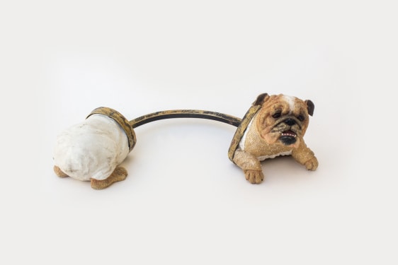 Affan Baghpati, A new cat in town, 2021