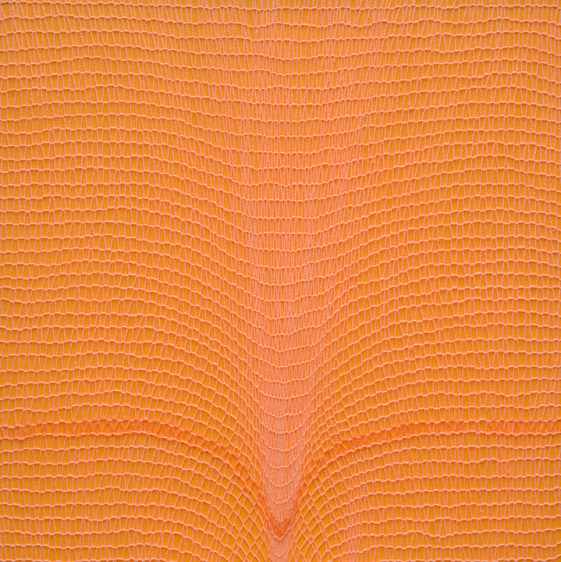 Shobha Broota Untitled (Orange) 2017 Wool on canvas  30 x 30 in.