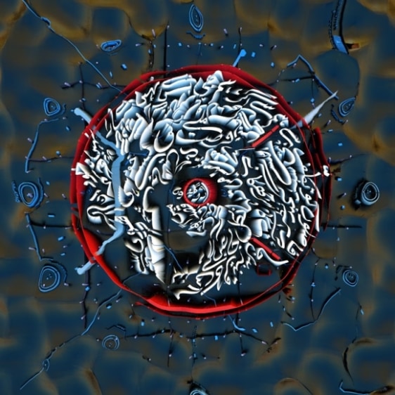 Saks Afridi  The Journey (Code Switching Series)  2017  Lenticular print with audio accompaniment  18 x 18 in.