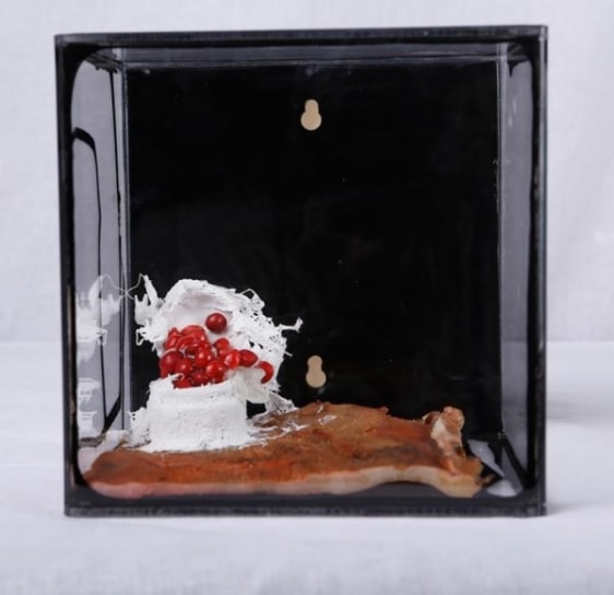 Ratna Gupta SOMEDAY CONTAINED SERIES (BOX 4) 2014 Acrylic box containing mixed media 6 x 6 x 6 in.