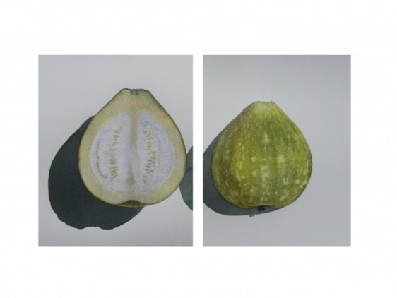 Avishek Sen   It's Very Cold Inside 2016 Water based medium on paper 9.5 x 10 in.