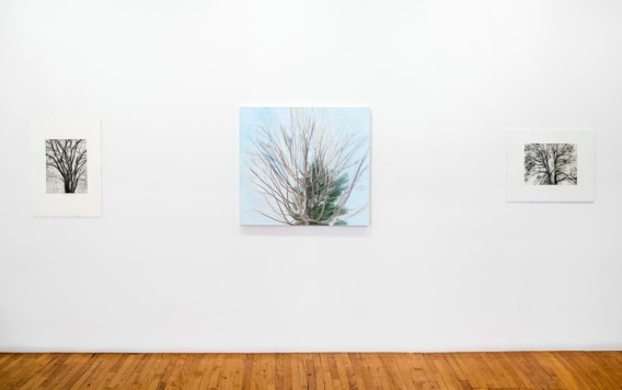 Sylvia Plimack Mangold: Winter Trees