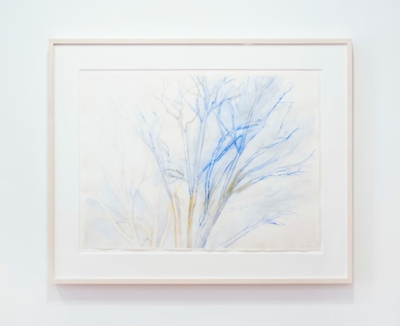 Sylvia Plimack Mangold: Winter Trees