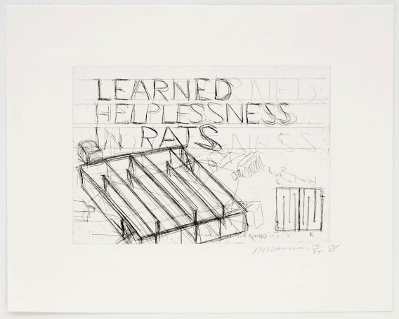 Learned Helplessness in Rats, 1988&nbsp;