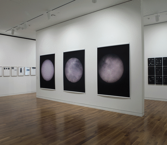 Zoe Leonard in &quot;The Sun Placed in the Abyss,&quot; at the Columbus Museum of Art