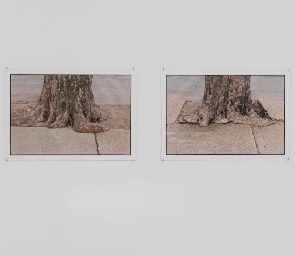 &quot;Zoe Leonard: The ties that bind&quot; at Hauser &amp; Wirth (online exhibition)
