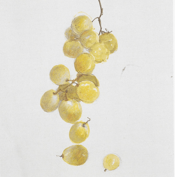 Farhad Ostovani: Grape and Olive Tree