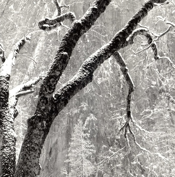 Kolbrener’s Yosemite: Photographs Celebrating the Centennial of Ansel Adams