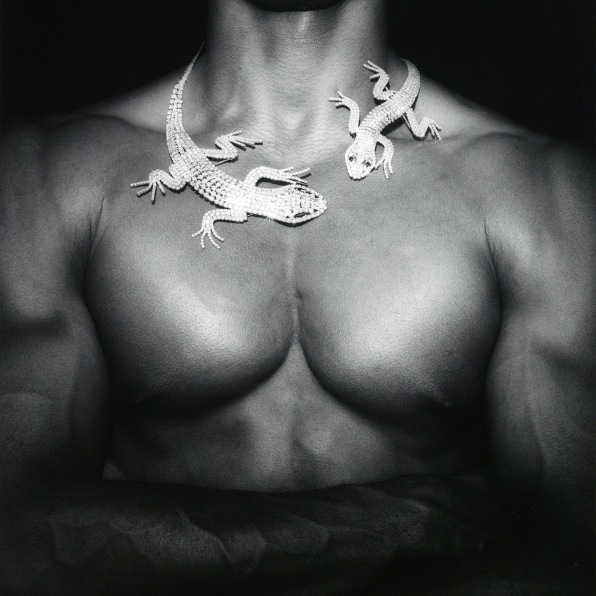 Black male torso, crystal necklace encircling his neck.