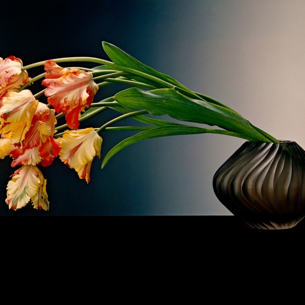 Yellow and red tulips in black vase