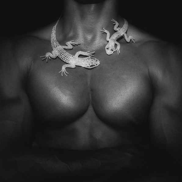 Black male torso, crystal necklace encircling his neck.