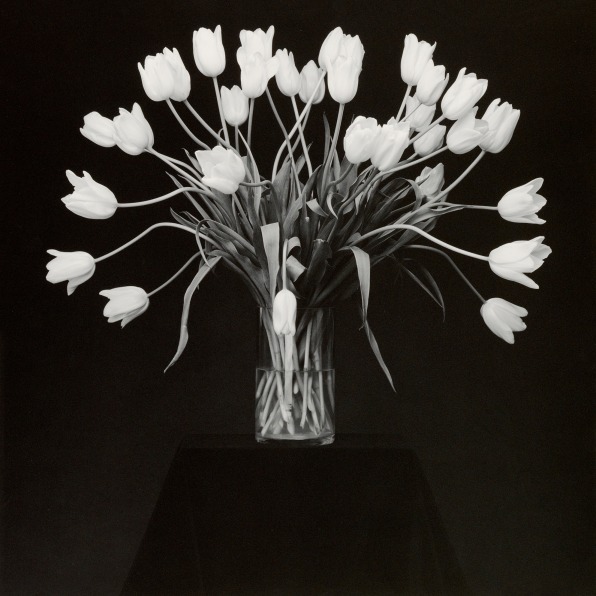 Bouquet of Tulips atop small black table.
