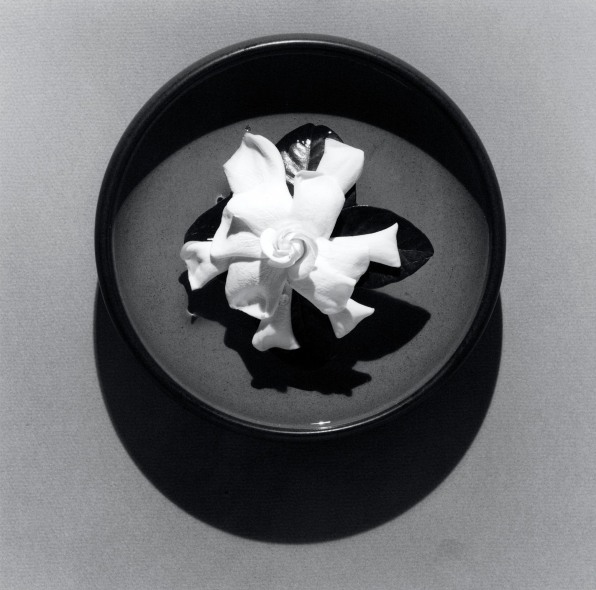 White flower in bowl of water photographed from above.