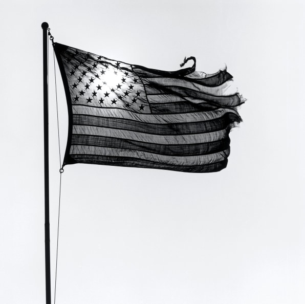 Backlit, tattered American flag flying in the wind.