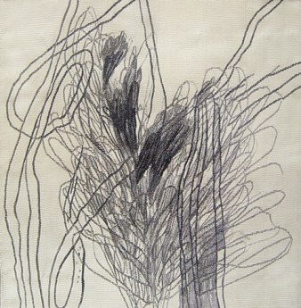 Magali Lara Sin t&iacute;tulo 1, Series: Conductos, 2006