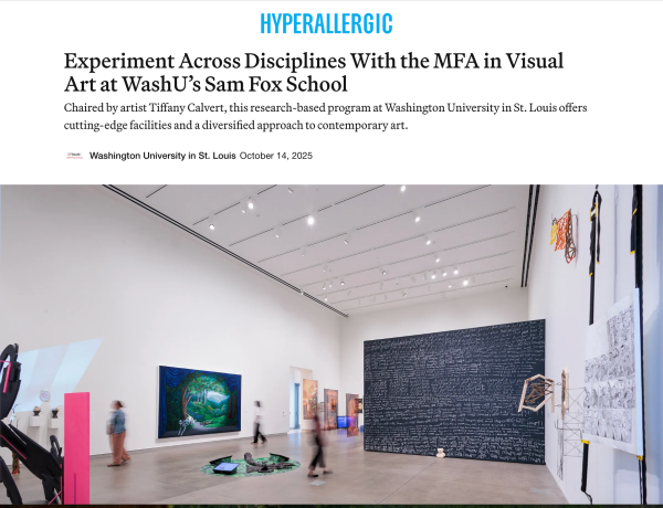 Hyperallergic - Tiffany Calvert chairs a research-based program at Washington University