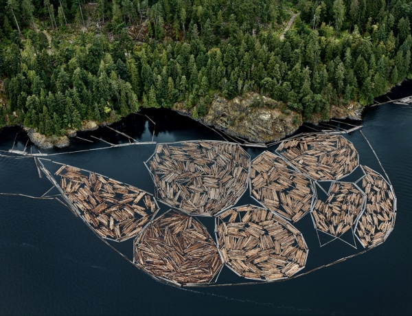 Edward Burtynsky, Log Booms #1, Vancouver Island, British Columbia, Canada, Howard Greenberg gallery, 2019 