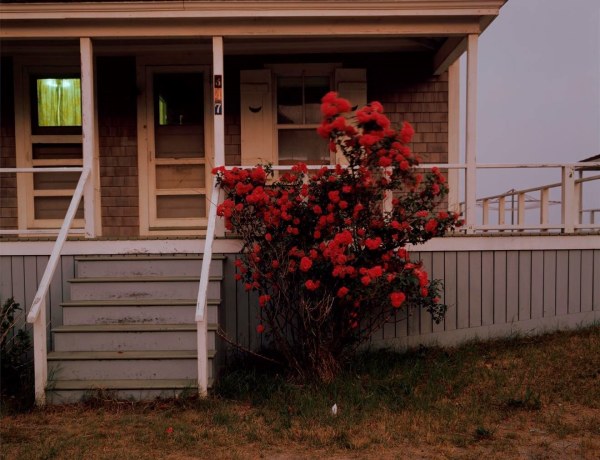 EVENT: A Morning with Joel Meyerowitz: Saturday, September 16th, 11 am