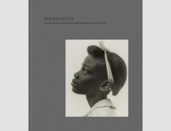 Viewpoints, Howard Greenberg Collection Book 