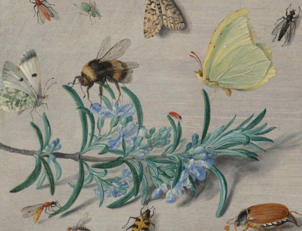 With Passion and Purpose: Gifts from the Collection of Larry D. and Brenda A. Thompson