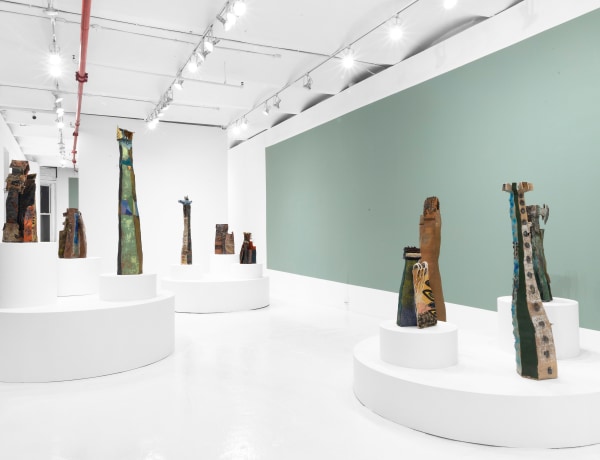 Sana Musasama: Raised Earth