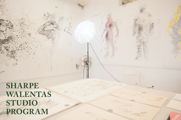 Sharpe-Walentas Studio Program: Andrew Brischler