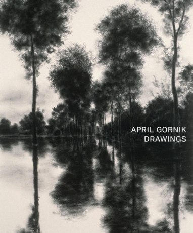 April Gornik • Artist Dialogue Series, The New York Public Library
