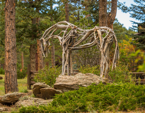 Deborah Butterfield at Denver Botanic Gardens