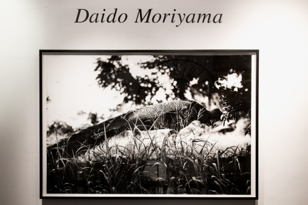 Exhibition: Daido Moriyama at Michael Hoppen Gallery