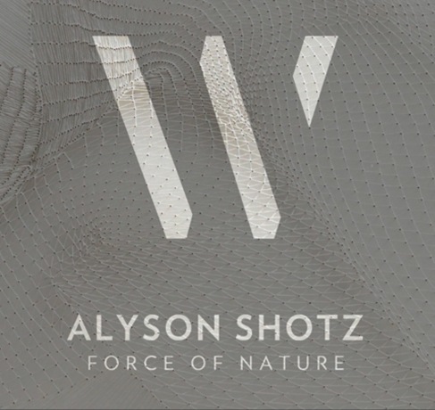Alyson Shotz