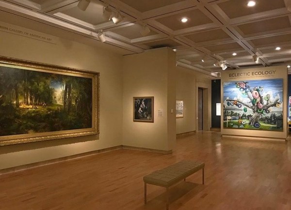 Installation View, "Eclectic Ecology," Cummer Museum 2020