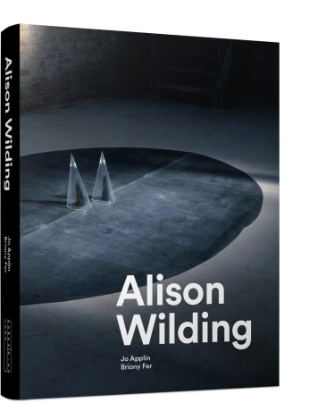 Alison Wilding Catalog