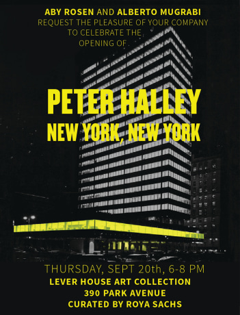 Peter Halley at Lever House Art Collection, NY