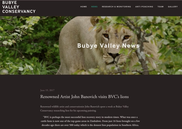 Bubye Valley News-Renowned Artist John Banovich visits BVC’s lions