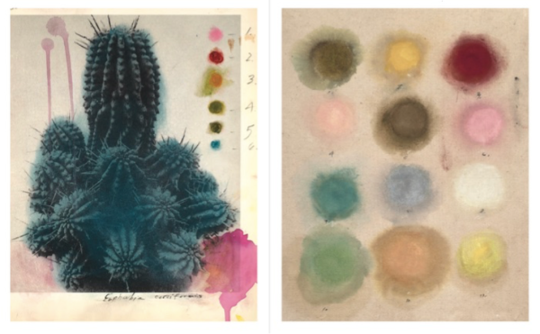 Julie Wolfe - Apophenia Vol. 02: Exquisite Corpse