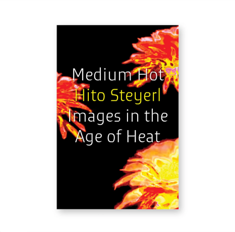 HITO STEYERL - MEDIUM HOT: IMAGES IN THE AGE OF HEAT