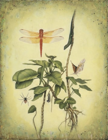 SUSAN McDONNELL still life painting of insects and planets for Children & Nature Network article