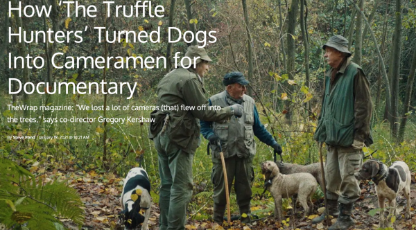 How ‘The Truffle Hunters’ Turned Dogs Into Cameramen