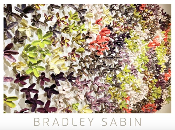 BradLEY SABIN