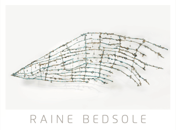 Raine Bedsole