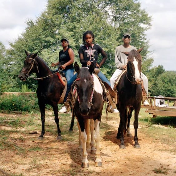 SOCIAL AGITATORS, JOYFULLY BLACK: THE ARTISTIC HEIRS OF GORDON PARKS