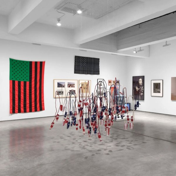 Flag-Waving Takes on New Meaning at Paula Cooper’s Gallery