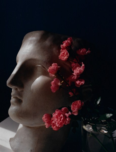 Horst P. Horst&nbsp;, Roses with Antique Head, 1985