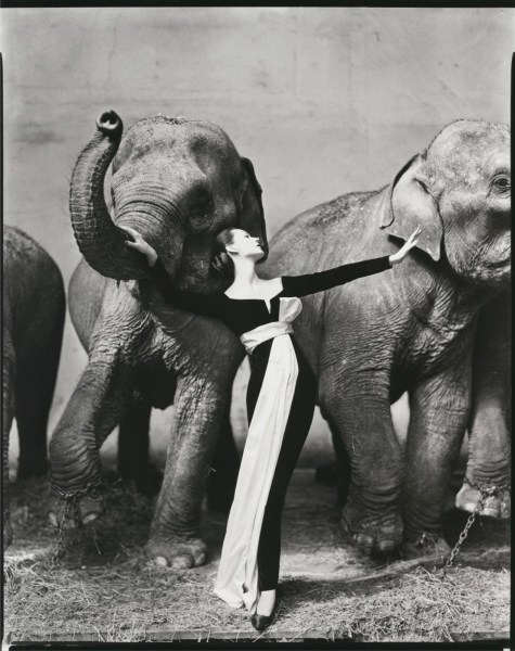 Richard Avedon, Dovima with elephants, evening dress by Dior, Cirque d'Hiver, Paris, August 1955