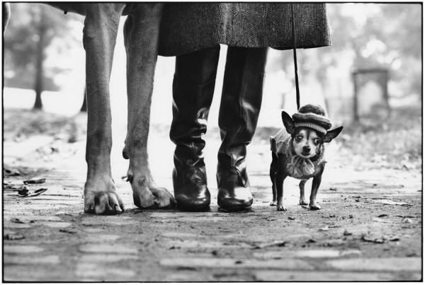 Elliott Erwitt New York City (Dog Legs), 1974