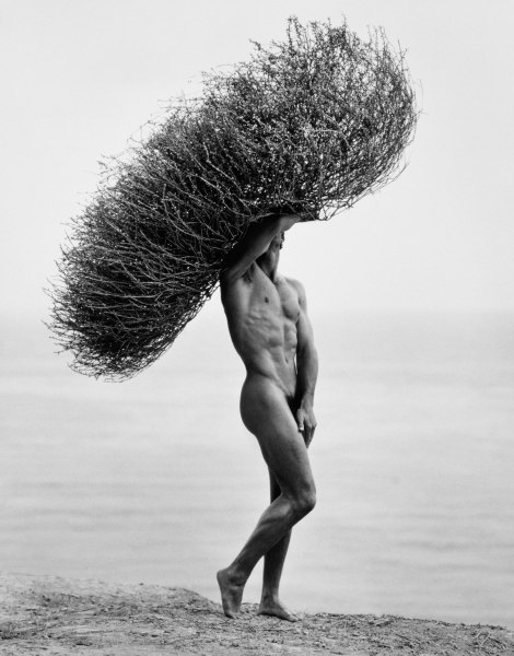 Herb Ritts, Male Nude With Tumbleweed, Paradise Cove, 1986
